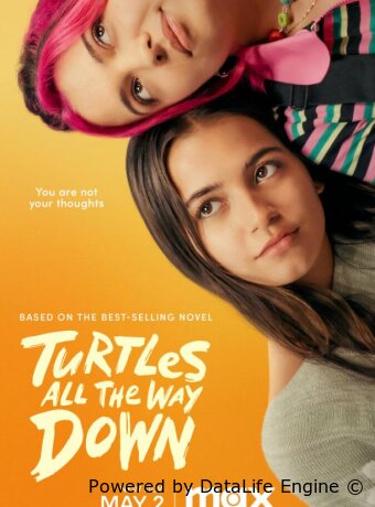 Turtles All the Way Down