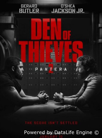 Охота на воров 2: Пантера