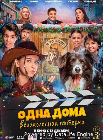 Одна дома: Великолепная пятерка
