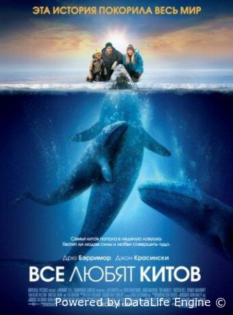 Все любят китов