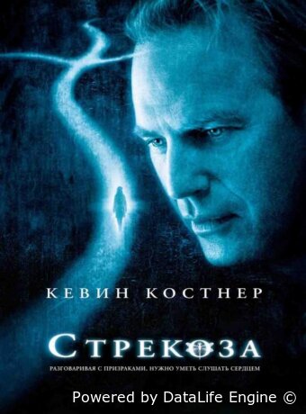 Стрекоза