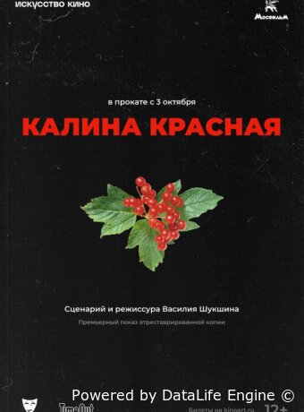 Калина красная