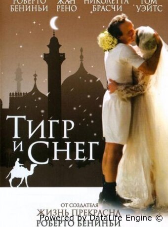 Тигр и снег