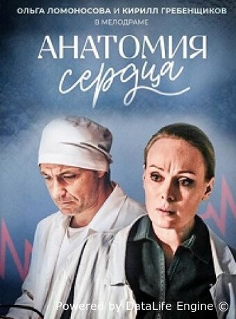 Анатомия сердца