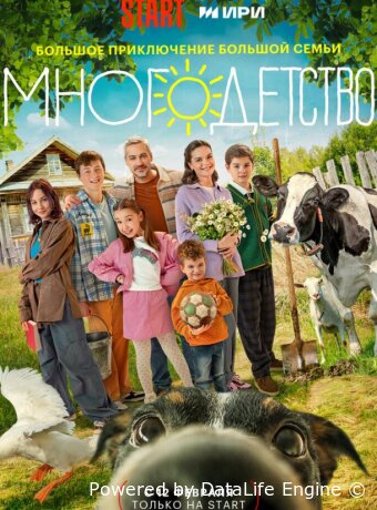 Многодетство